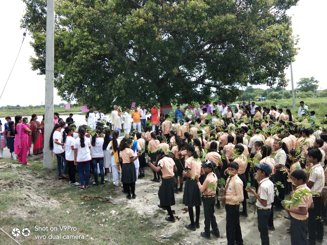Mega Tree Plantation — photo 2