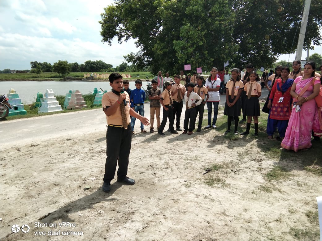 Mega Tree Plantation — photo 3