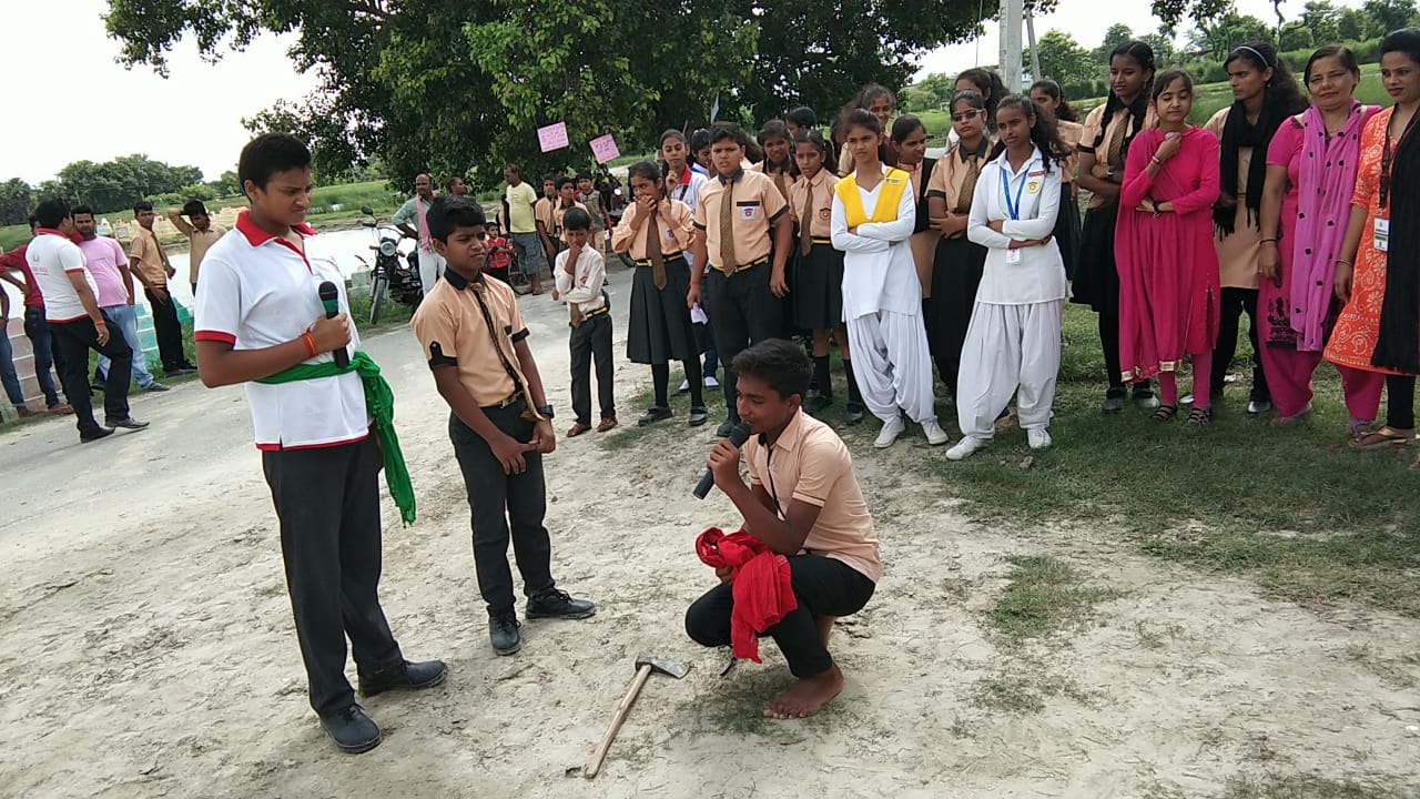 Mega Tree Plantation — photo 5