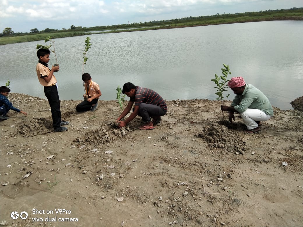 Mega Tree Plantation — photo 6